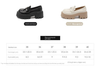JP One-pedal Soft-soled Platform Small Leather Shoes KT2593