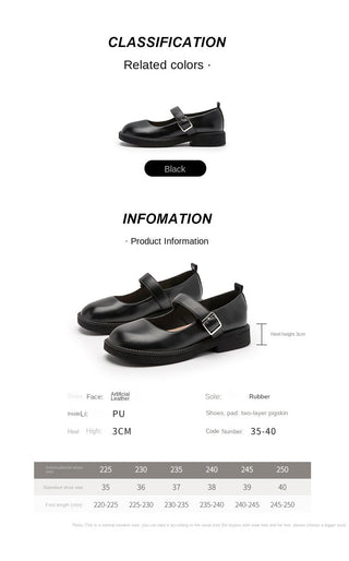 JP Single Shoe Thick Heel Soft Sole Small Leather Shoe KT2429 - KTchic